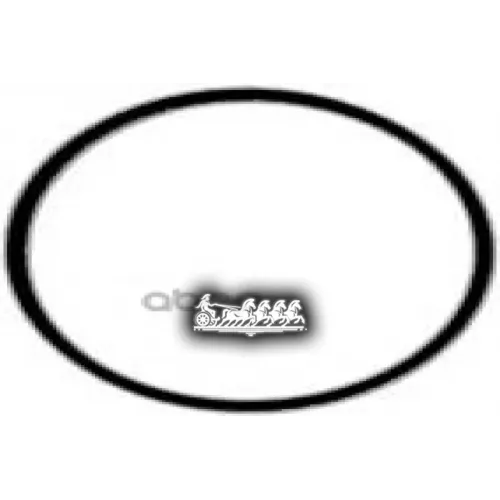 Прокладка Впускного Коллектора VICTOR REINZ 