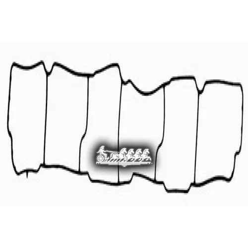 Прокладка Впускного Коллектора VICTOR REINZ 