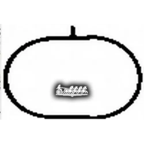 Прокладка Коллектора Mb C(W203/204) Bga 