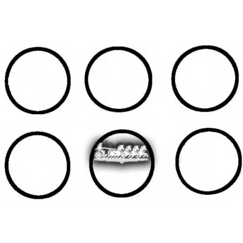 Комплект Прокладок, Впускной Коллектор VICTOR REINZ 11-37133-01