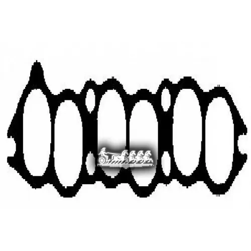 Прокладка Впускного Коллектора Ajusa 