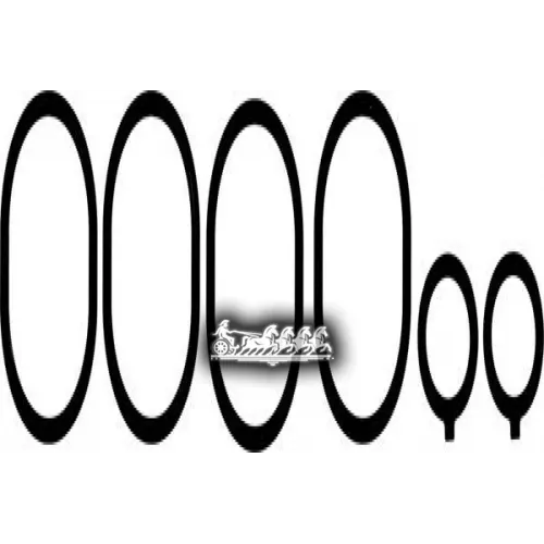 Комплект Прокладка Выпускного Коллектора VICTOR REINZ 11-40269-01