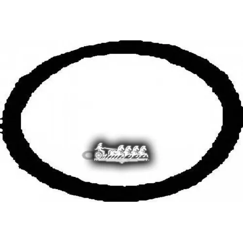 Прокладка Выхлопной Системы VICTOR REINZ 71-52919-00