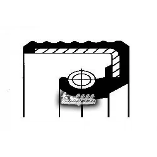 Сальник Коленчатого Вала Corteco 