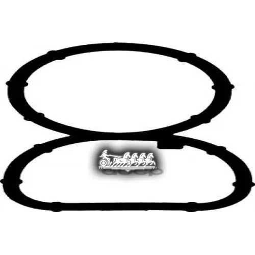 Прокладка Коллектора Bmw 1/3/X3(E81/E87/E88/E90/E83) 04- 2.0D Впускного VICTOR REINZ 