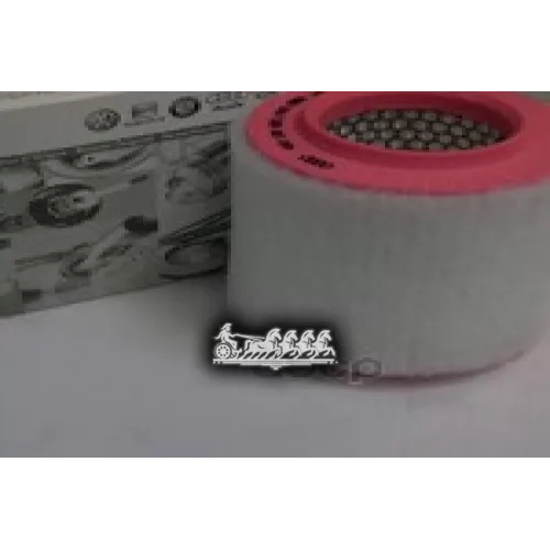 Фильтр. Элемент Возд. Фильтра [Org] VAG 