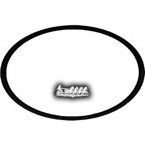 Прокладка Впускного Коллектора VICTOR REINZ 