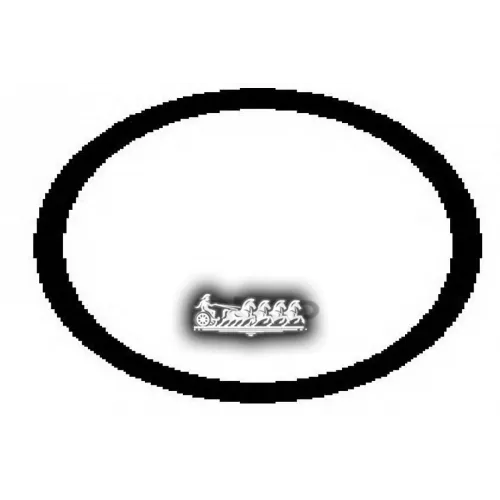 Прокладка Впускного Коллектора Ajusa 