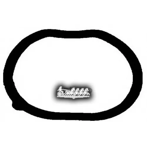 Прокладка Впускного Коллектора Ajusa 