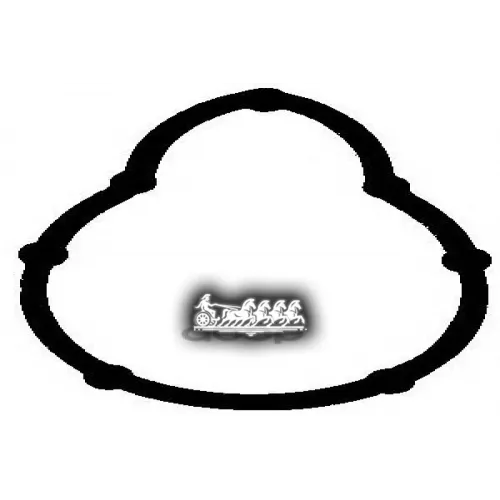 Прокладка Впускного Коллектора Ajusa 