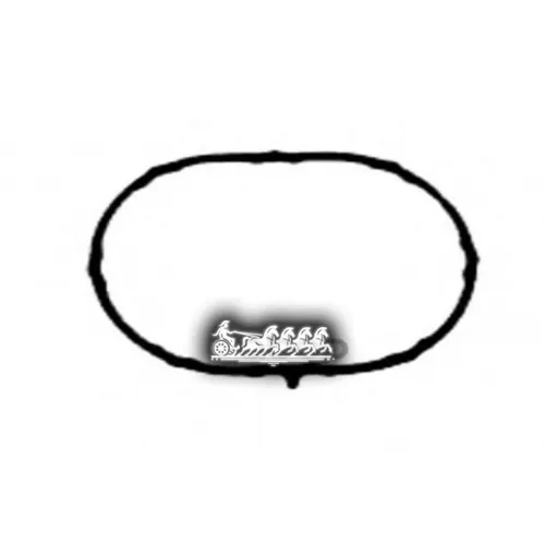 Прокладка Впускного Коллектора VICTOR REINZ 71-53796-00