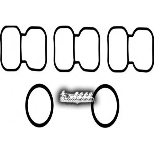 Комплект Прокладок, Впускной Коллектор VICTOR REINZ 11-41051-01