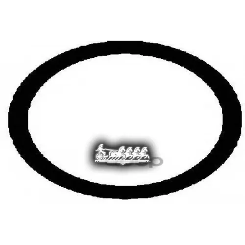 Прокладка Впускного Коллектора VICTOR REINZ 71-31647-00