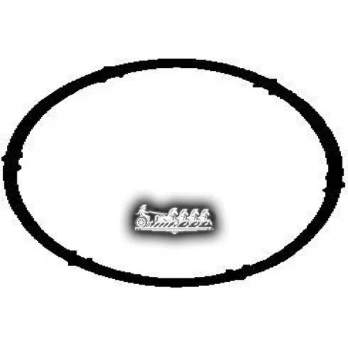 Прокладка, Впускной Коллектор VICTOR REINZ 71-34203-00