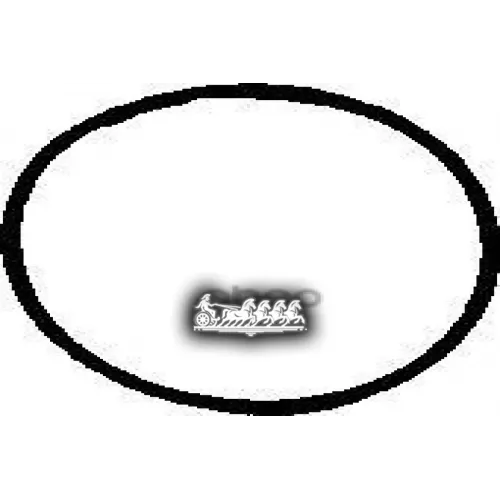 Прокладка Впускного Коллектора VICTOR REINZ 71-34473-00