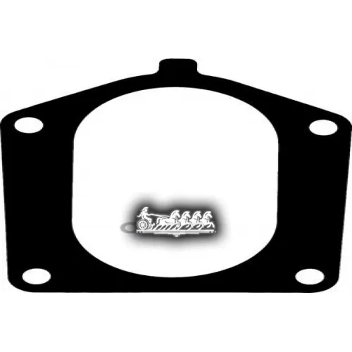 Прокладка Впускного Коллектора VICTOR REINZ 71-54313-00