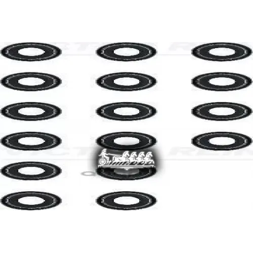 Комплект Колпачков Маслосъемных VICTOR REINZ 12-52772-03