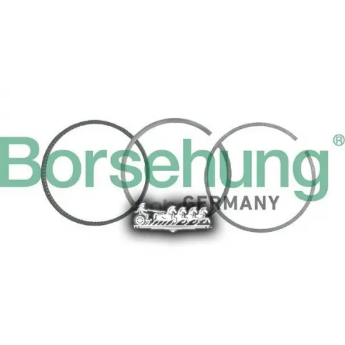 Кольца Поршневые Комплект Vag Passat 15- На 1 Цил.(Мин 4 К-Т.) BORSEHUNG 