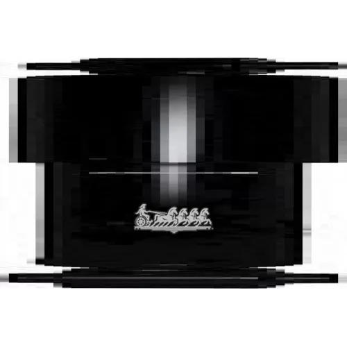 Амортизатор Citroen C2/C3 03- Задн.лев./Прав.газ. JP Group 