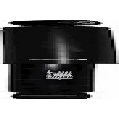 Амортизатор Ford Tourneo 02- Задн.лев./Прав.газ. JP Group 