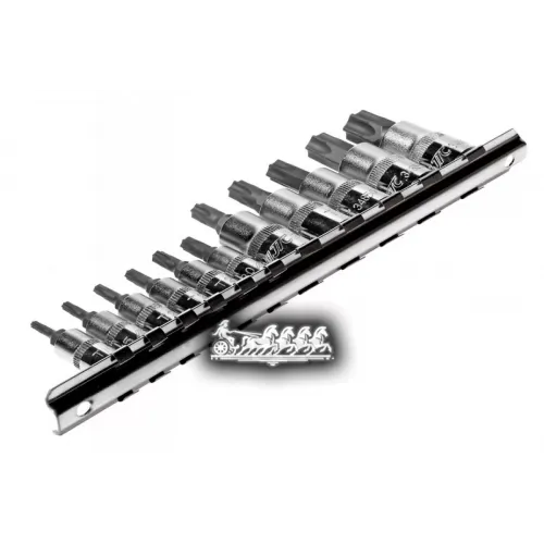 Набор Головок Торцевых С Насадкой Torx С Отверстием 1/4-3/8. T10h-T60h 11 Предметов JTC 