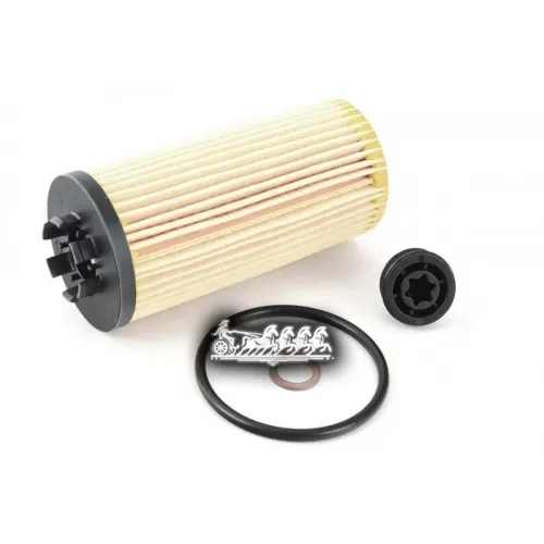 Фильтр Масляный (Вставка) BMW 