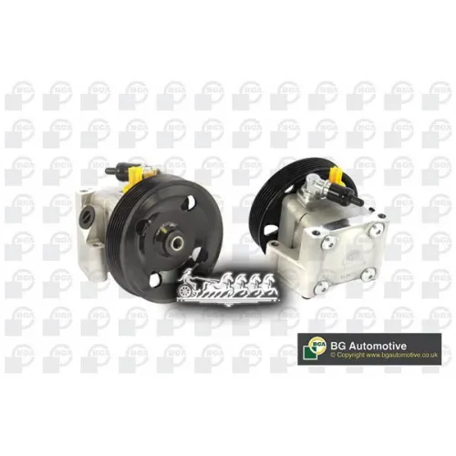 Насос Гур Ford Focus/C-Max 04- Bga 