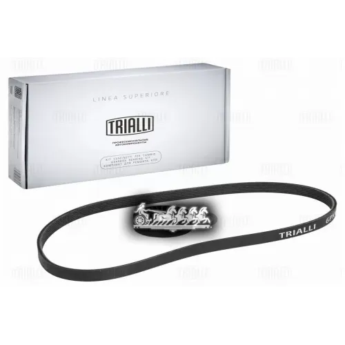 Ремонтный Комплект Генератора Trialli 