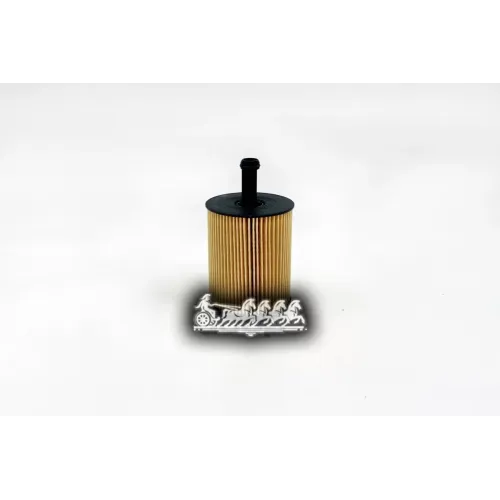 Фильтр Масляный Vag A3/A4/Q5/Octavia 2 03- 1.4/1.9/2.0Tdi/2.5Tdi/2.3Vr5/3.2Vr6 BIG FILTER 