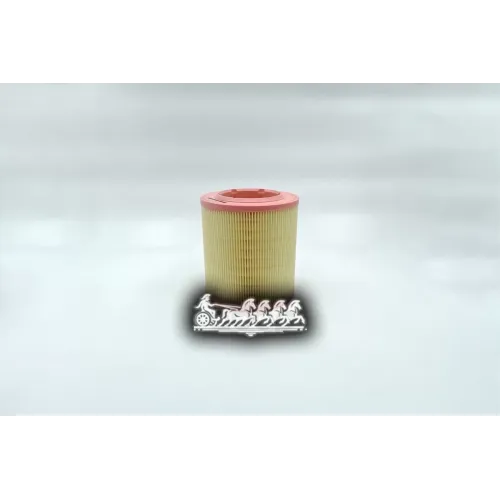 Фильтр Воздушный Vag A8 02-10 2.8Fsi/3.0/3.2Fsi/3.7/4.0Tdi/4.2/4.2Fsi BIG FILTER 