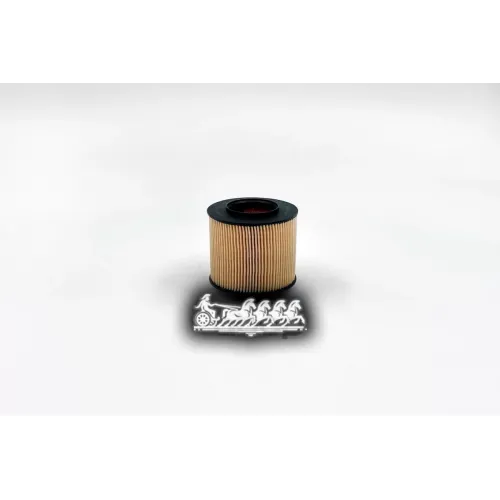 Фильтр Масляный Vag Golf 5/Fabia/Octavia/A3 04- 1.4Tsi/1.6Fsi BIG FILTER 