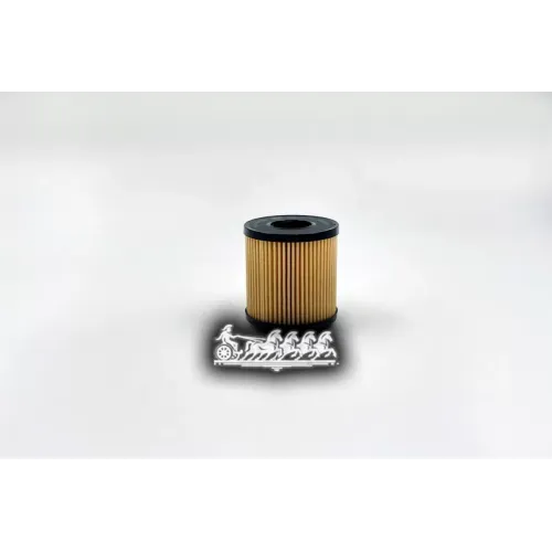 Фильтр Масляный Opel Astra H/Corsa D/Swift 1.3Cdti BIG FILTER 