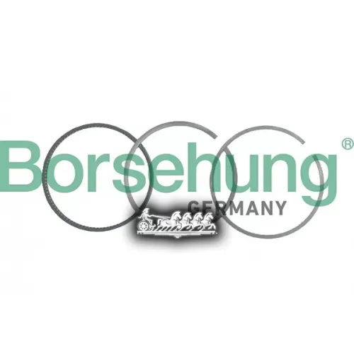 Кольца Поршневые Комплект Vag BORSEHUNG 