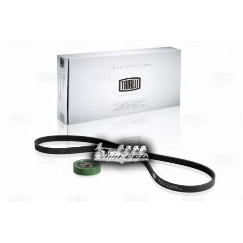 Ремонтный Комплект Генератора Trialli 