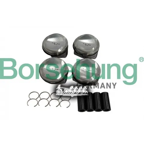 Кольца Поршневые Комплект Vag BORSEHUNG 