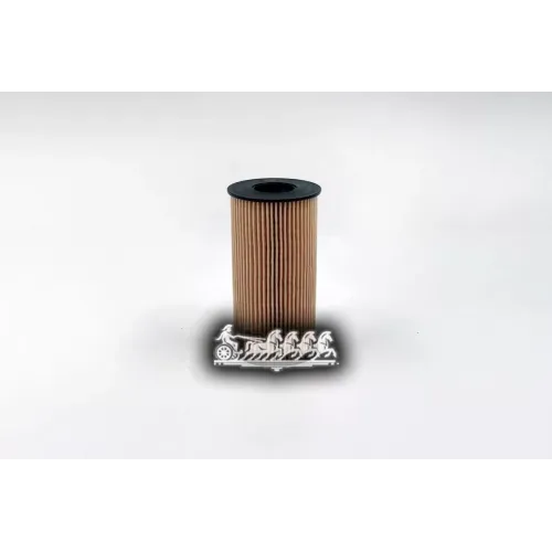 Фильтр Масляный Mb/Nissan/Opel Vito/Navara/Movano 06- 2.5 BIG FILTER 