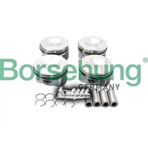 Поршень Комплект Vag Octavia -13 BORSEHUNG 