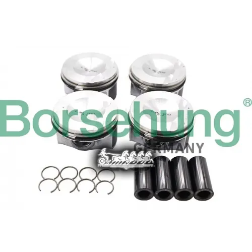 Поршень Комплект Vag Octavia -17 BORSEHUNG 