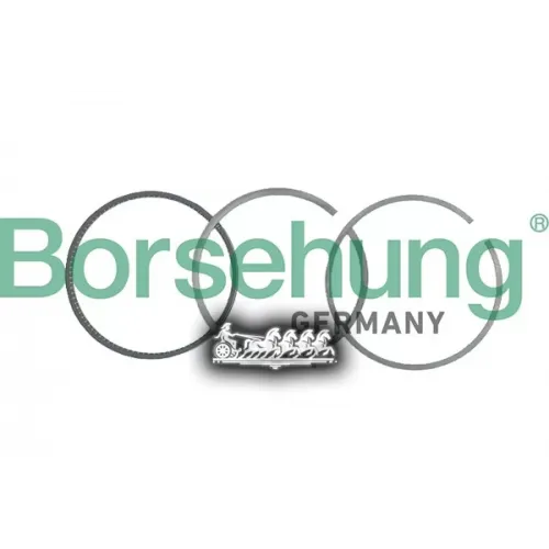 Кольца Поршневые Комплект Vag BORSEHUNG 