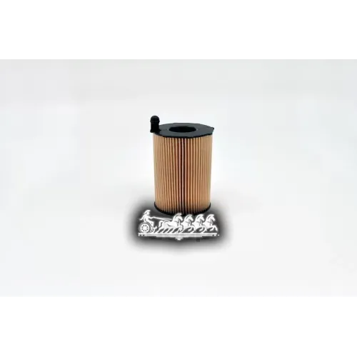 Фильтр Масляный Vag 10- 3.0Tdi V6 BIG FILTER 