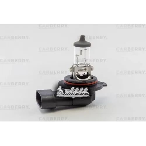 Лампа Hb4 12V (51W) Day&Night CARBERRY 
