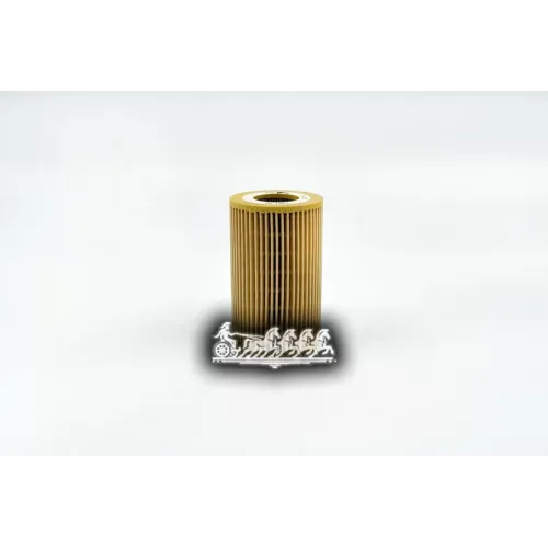 Фильтр Масляный Ford/Volvo Focus/Mondeo/C30/C70 07- 2.5 BIG FILTER 