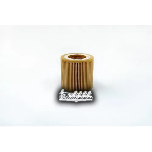 Фильтр Масляный Bmw 1/3/5/7/X5(E70) 2.0/2.5/3.0 BIG FILTER 