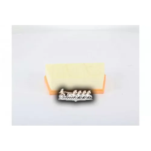 Фильтр Воздушный Landrover 14- BSG AUTO PARTS 