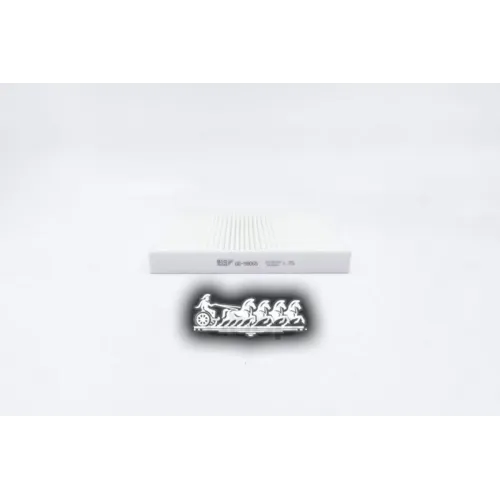 Фильтр Салона Suzuki Sx4/Vitara 16- BIG FILTER 