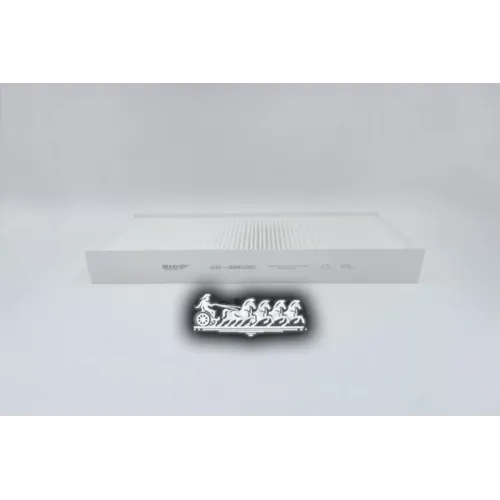 Фильтр Салона Citroen/Peugeot Jumpy/Expert BIG FILTER 