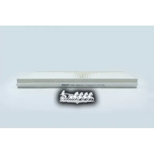 Фильтр Салона Ford Focus 02- BIG FILTER 