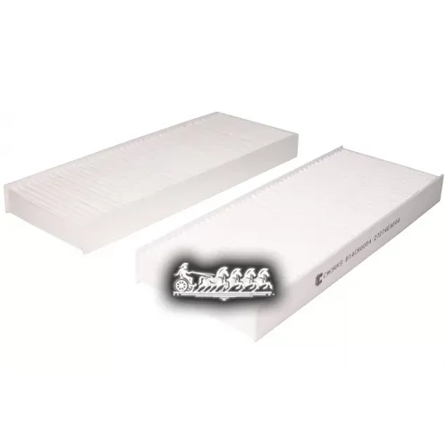 Фильтр Салона Nissan Navara/Pathfinder Угольный (Компл. 2 Шт.) CWORKS 