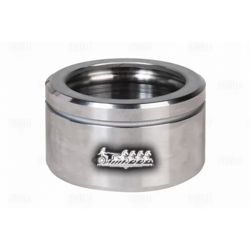 Поршень Суппорта Перед. Renault Duster 10- Trialli RCF 095108