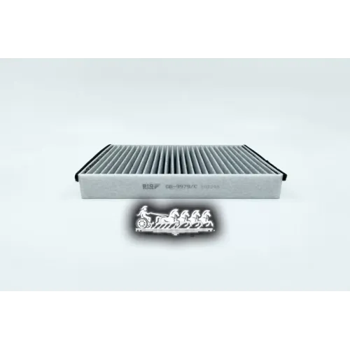 Фильтр Салона Ford Focus 3/Kuga 11- Угольный BIG FILTER 